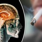 سیگار کشیدن قشر مغز شما را نازک میکند