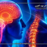 تحقیقات جدید درباره پیوند مغز و ترمیم آسیب های نخاعی؛ امیدها و واقعیت ها