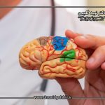 تفاوت خونریزی مغزی و سکته مغزی چیست؟